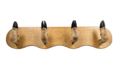 Knagerække EG. Krondyr Hove. Hov monteret. 67 cm lang.