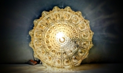 Skøn dansk plafond med cognac farvet smukt glas. Ø20 10 cmH. Interiør til væg el. loft.